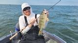 Catch more PERCH with these tips and tricks! .